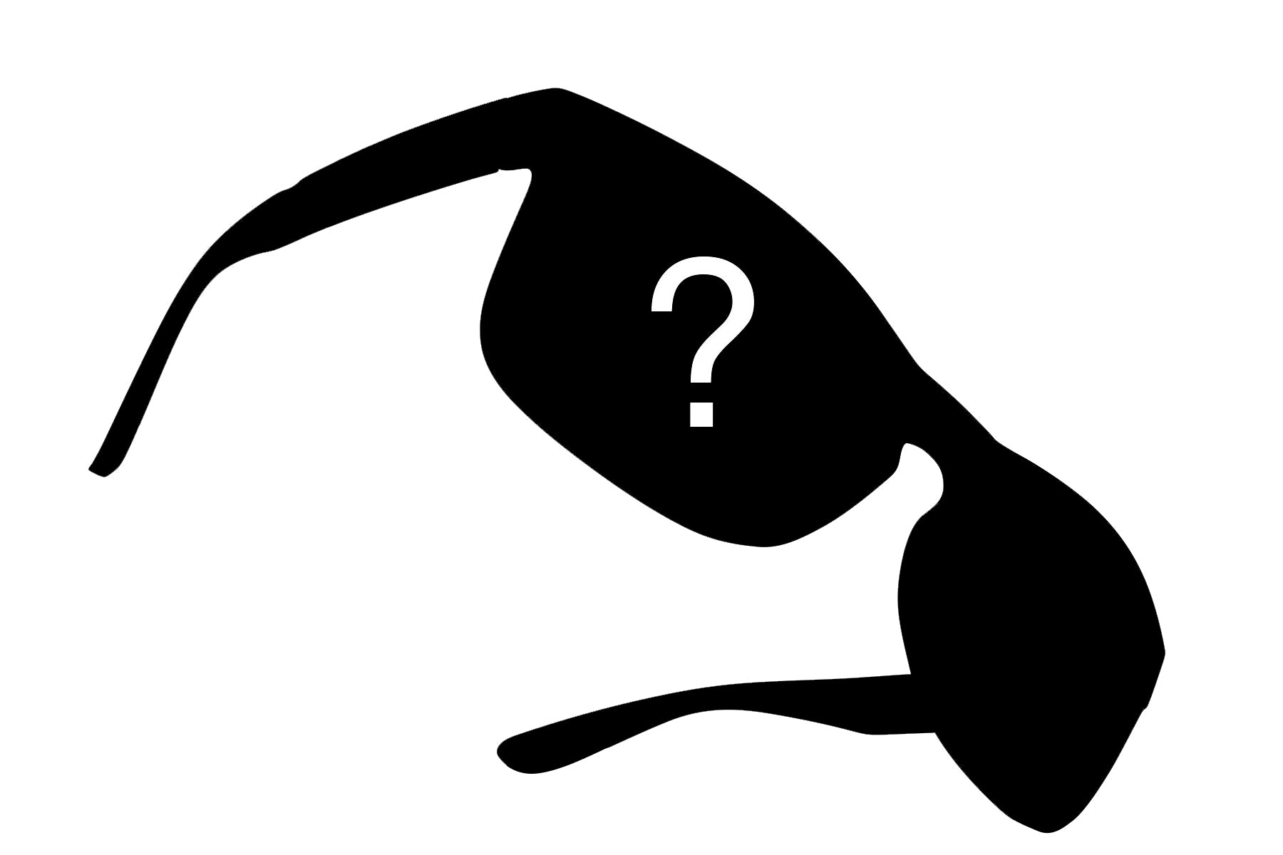 Exclusive Offer   Men's Mystery Polarized Pair (No Returns/Replacements)