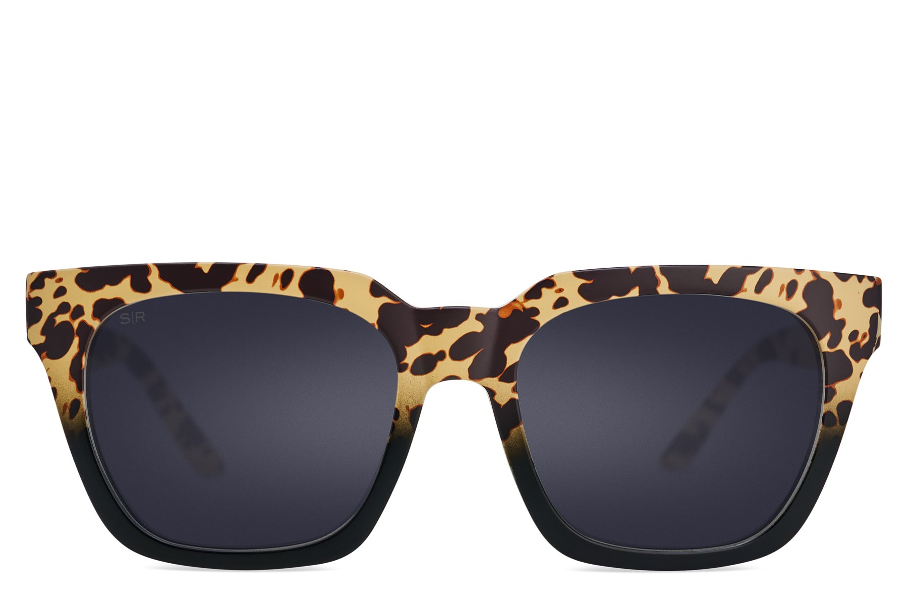 Alternative view of Dahlia   Prairie Tortoise Polarized